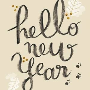 Meet your Posher, Carmen